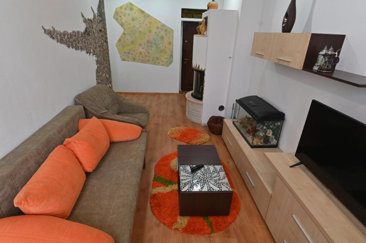 Apartament Camelia Petroşani المظهر الخارجي الصورة
