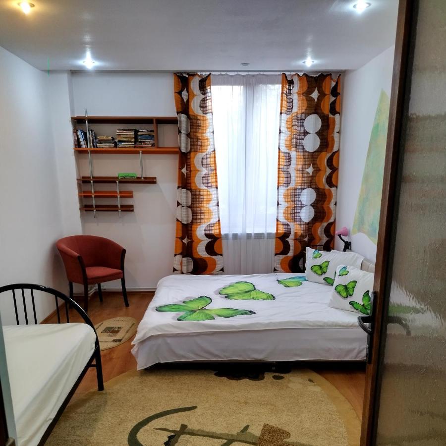 Apartament Camelia Petroşani المظهر الخارجي الصورة