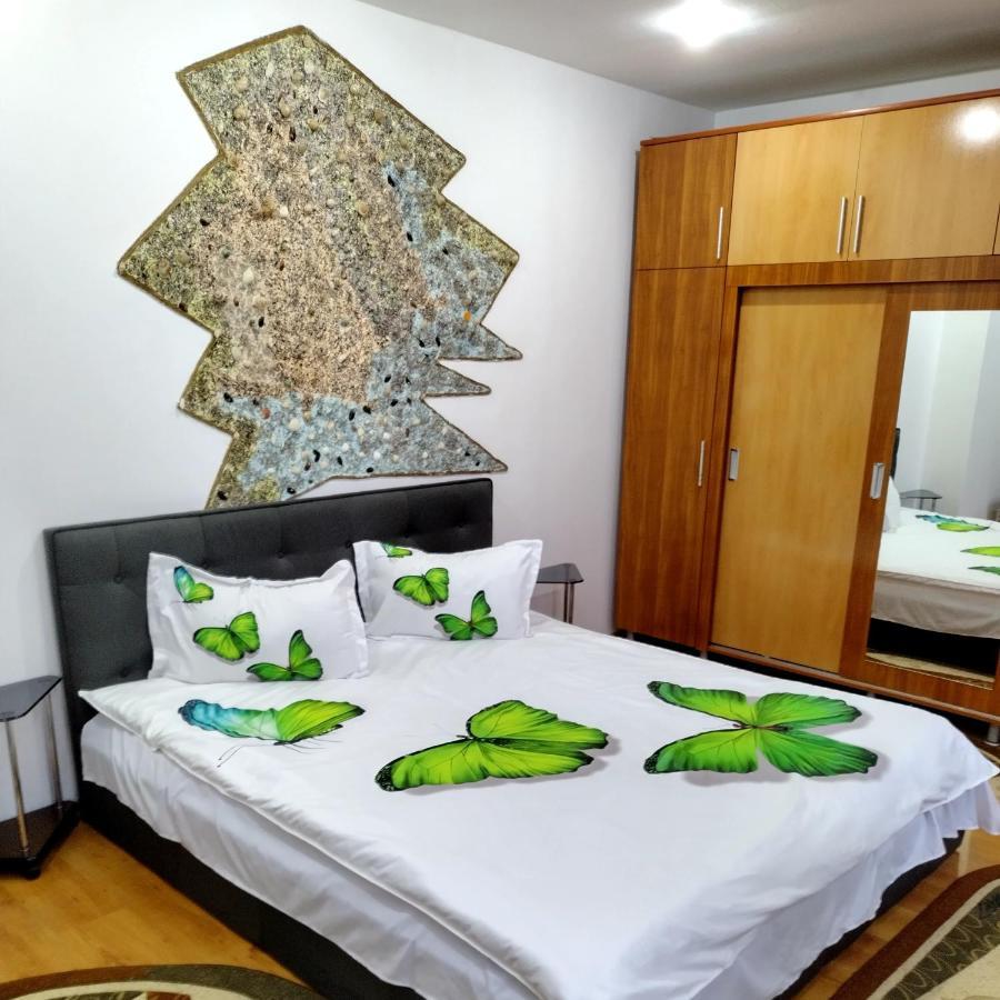 Apartament Camelia Petroşani المظهر الخارجي الصورة