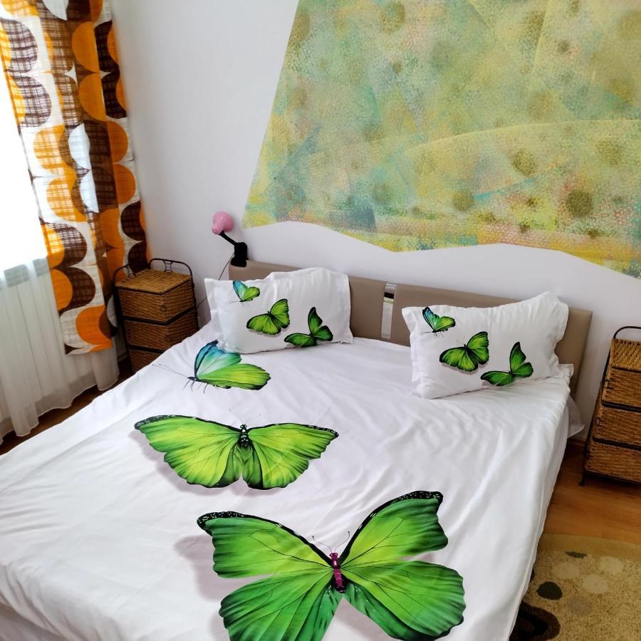 Apartament Camelia Petroşani المظهر الخارجي الصورة