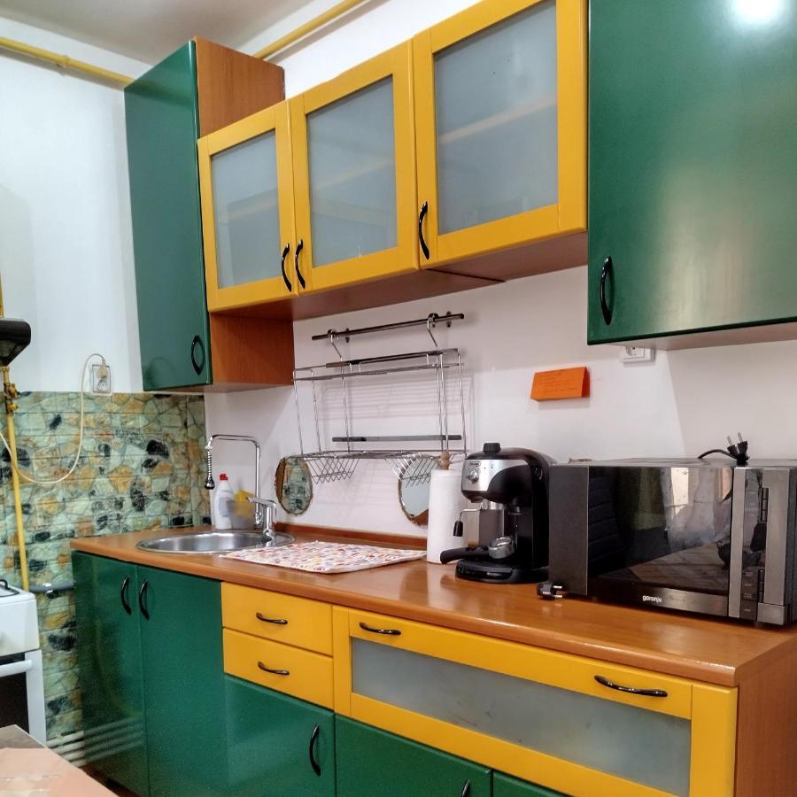 Apartament Camelia Petroşani المظهر الخارجي الصورة